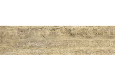 Дуб палевый